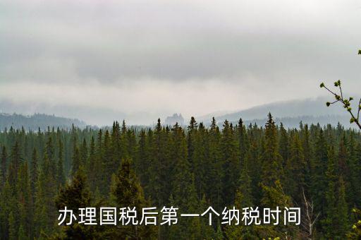 報稅后什么時候交稅，辦理國稅后第一個納稅時間