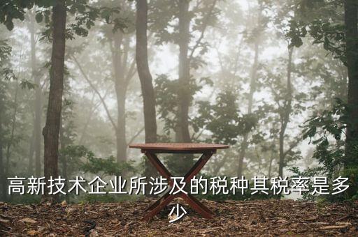 高新技術企業(yè)所涉及的稅種其稅率是多少