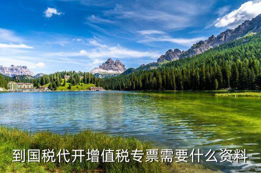 到國(guó)稅代開(kāi)增值稅專(zhuān)票需要什么資料