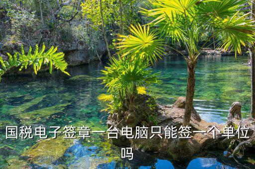 國稅電子簽章一臺(tái)電腦只能簽一個(gè)單位嗎