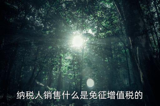 什么免征增值稅，哪些屬于免征增值稅