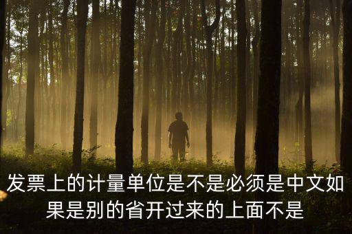 發(fā)票上的計(jì)量單位是不是必須是中文如果是別的省開過來(lái)的上面不是