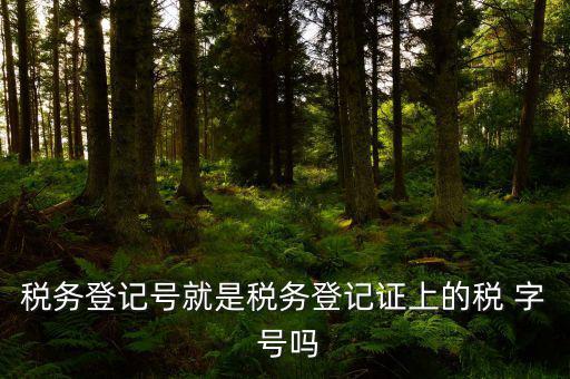 稅務登記證是什么字體，稅務登記證上的這是什么字體