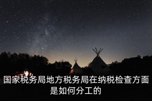 地方稅務局一案雙查是什么意思，國稅局一二稽查大隊是何意思