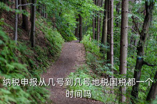 納稅申報(bào)從幾號到幾號地稅國稅都一個(gè)時(shí)間嗎