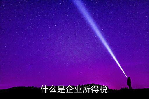 什么是公司所得稅，企業(yè)所得稅是什么意思