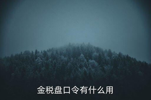 報(bào)稅數(shù)字證書(shū)口令是什么，陜西天暢偉業(yè)的網(wǎng)上報(bào)稅系統(tǒng)的登錄口令是什么