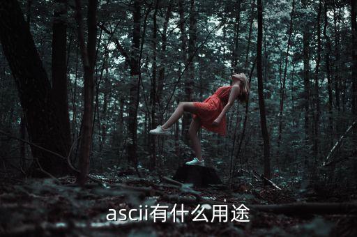 稅優(yōu)識別碼有什么用，ascii有什么用途