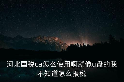 ca行助手是什么，稅務(wù)申報(bào)是否下載ca行助手就可以了