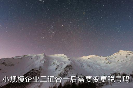 什么情況需要變更稅號，小規(guī)模企業(yè)三證合一后需要變更稅號嗎