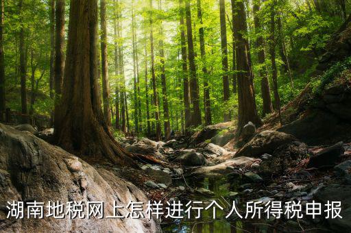 湖南地稅網(wǎng)上怎樣進(jìn)行個人所得稅申報