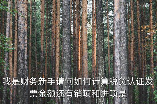 認證業(yè)務(wù)是什么稅種，一般納稅人認證企業(yè)每個月最低要繳多少稅有哪些稅新注冊公司是