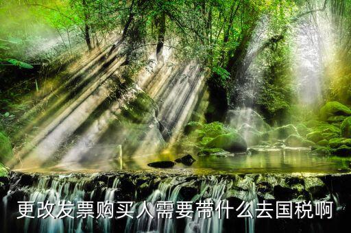 更改發(fā)票價(jià)格需要帶上什么東西，變更發(fā)票購(gòu)買(mǎi)人需要帶什么東西去稅務(wù)局