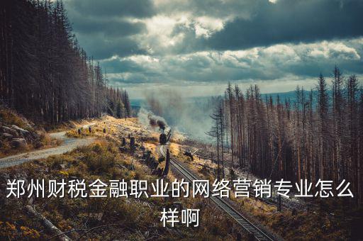 互聯(lián)網(wǎng)財(cái)稅銷售是什么，鄭州財(cái)稅金融職業(yè)的網(wǎng)絡(luò)營銷專業(yè)怎么樣啊