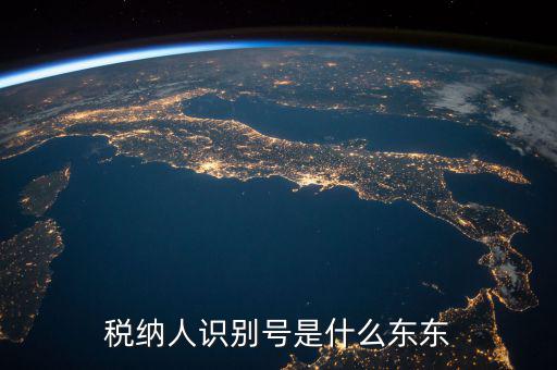 企業(yè)稅務(wù)識別號是什么意思，稅納人識別號是什么東東