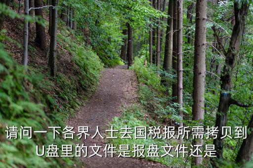 稅務(wù)報盤文件是什么，請問一下各界人士去國稅報所需拷貝到U盤里的文件是報盤文件還是