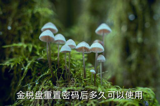 ca國稅密碼重置后是什么，樂稅社區(qū)稅友提問CA登錄時的密碼是什么納稅人自己定的還是稅