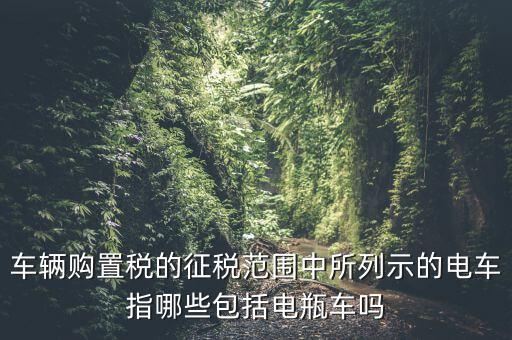 有軌電車征收什么稅，車輛購置稅的征稅范圍中所列示的電車指哪些包括電瓶車嗎