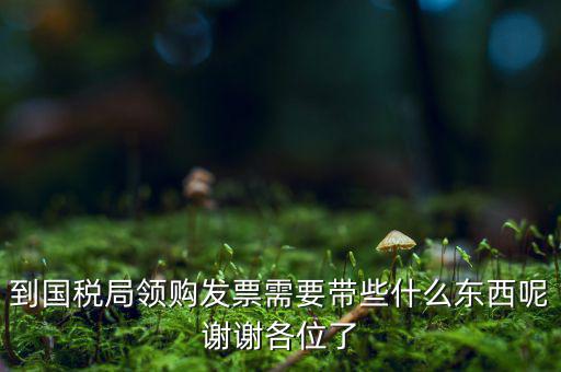 國(guó)稅局領(lǐng)票帶什么東西，去稅務(wù)局領(lǐng)發(fā)票需要帶什么資料去