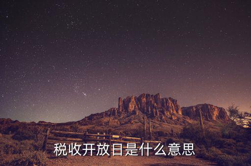 國(guó)稅開(kāi)放日是什么意思，稅收開(kāi)放日是什么意思
