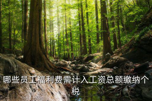 什么樣的福利費要交個稅，什么樣的福利費不需要交納個人所得稅呢