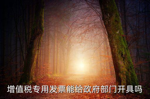 什么內(nèi)容的發(fā)票不可以給政府部門，增值稅專用發(fā)票能給政府部門開具嗎
