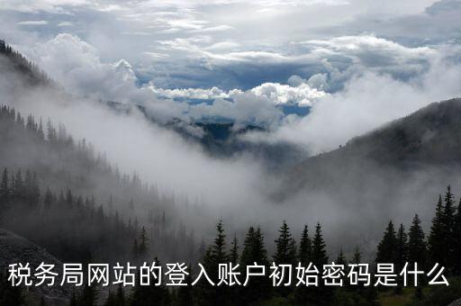 廣東國(guó)稅網(wǎng)登錄密碼是什么意思，稅務(wù)局網(wǎng)站的登入賬戶初始密碼是什么