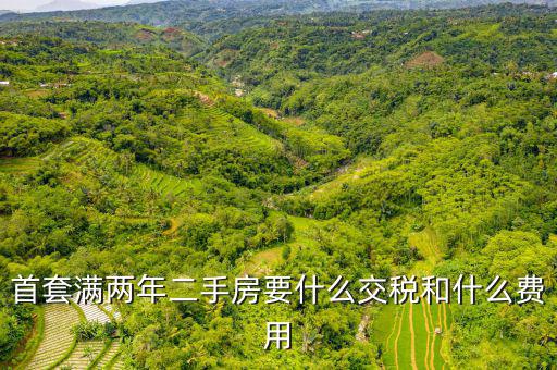 賣滿2年的房子交什么稅，商品房滿2年了出售的話需要交哪些稅詳細(xì)點(diǎn)