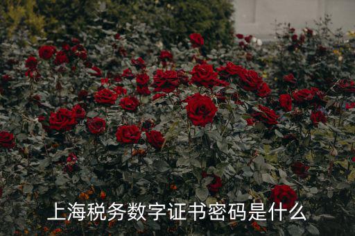 稅務數字證書密碼是什么，稅務密鑰是什么東西是數字證書嗎