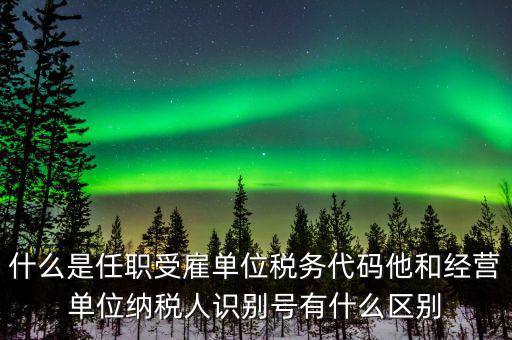 報(bào)稅自然人識(shí)別號(hào)是什么，個(gè)稅申報(bào)顯示存在相同唯一識(shí)別號(hào)是什么意思