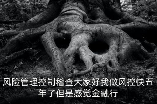 稽查風(fēng)險(xiǎn)管控是什么意思，股票中1風(fēng)險(xiǎn)提示 違規(guī)稽查是什么意思