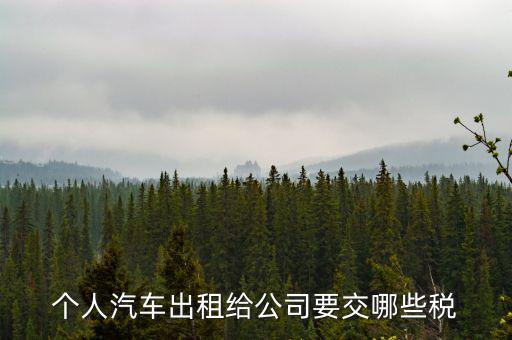 車輛租賃交什么稅，轎車租賃需繳納多少稅控