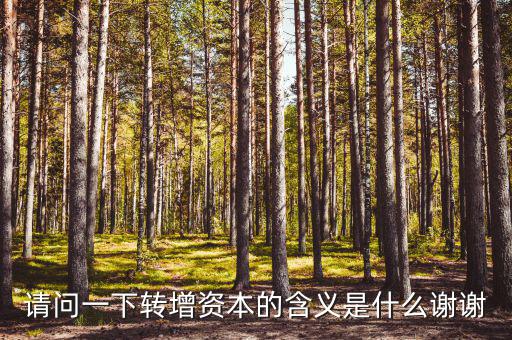 什么是利潤轉(zhuǎn)增資，什么叫轉(zhuǎn)增資本通俗一點越白話越好