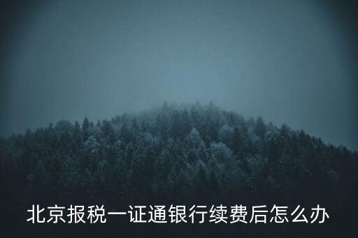 北京報稅一證通銀行續(xù)費(fèi)后怎么辦