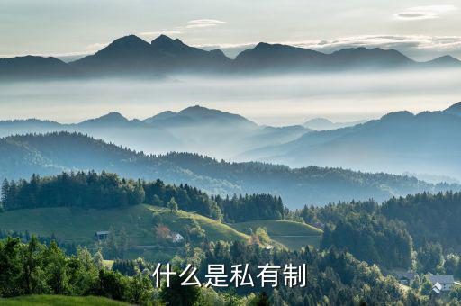 什么是特許權(quán)，什么是私有制