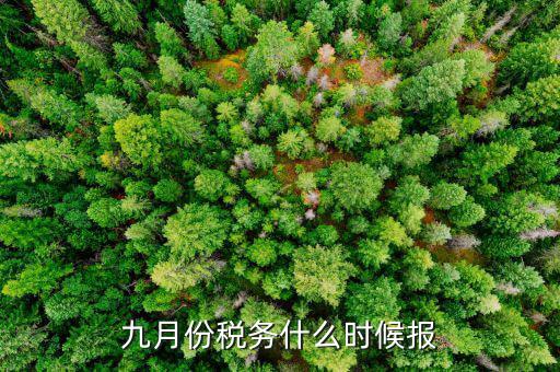 2017年9月份的稅什么報(bào)完，誰(shuí)知道今年9月的個(gè)人所得稅怎么報(bào)怎么來(lái)計(jì)算的