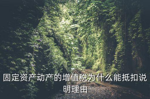 為什么用固定資產(chǎn)抵稅，固定資產(chǎn)抵稅問題