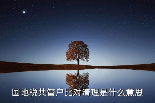 什么是國(guó)地稅共管，國(guó)稅地稅共管公司都需要每個(gè)月報(bào)稅嗎意思就是說我每個(gè)月地稅