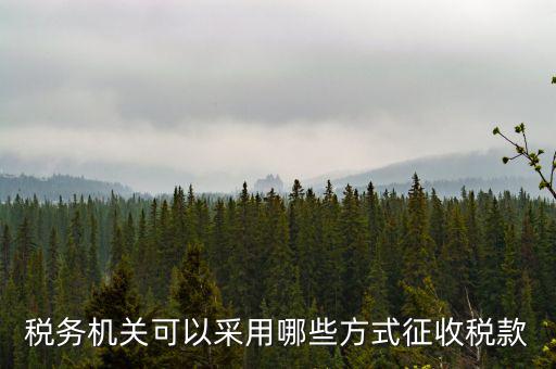 稅務(wù)局按什么征收稅務(wù)，稅務(wù)機(jī)關(guān)可以采用哪些方式征收稅款