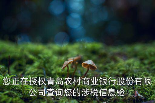 涉稅鑒證是什么意思，國稅局涉稅證明中的認證結果為認證相符是什么意思