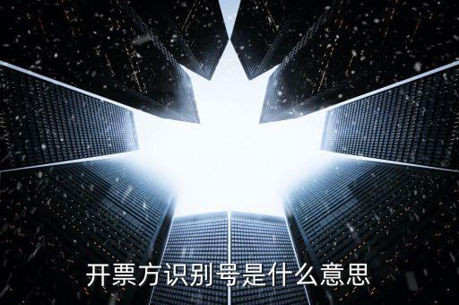 開(kāi)票方識(shí)別號(hào)是什么意思