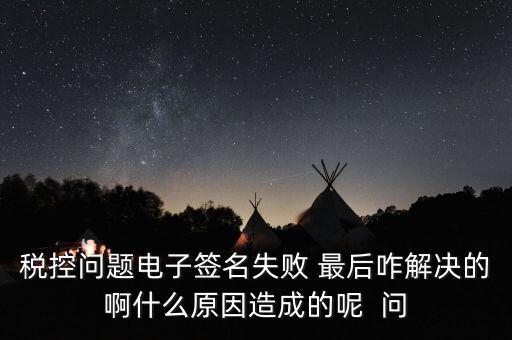 什么是稅控簽名，報稅時數(shù)字簽名是甚么意思