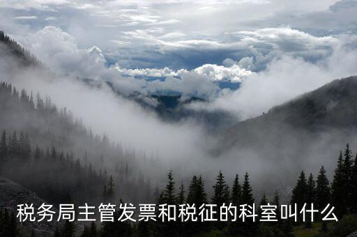 國(guó)稅稅務(wù)局都有什么科，稅務(wù)局主管發(fā)票和稅征的科室叫什么