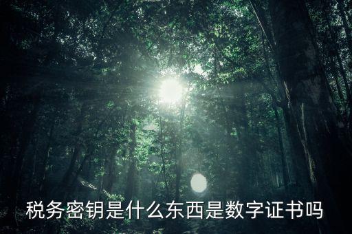 稅務密鑰是什么東西是數字證書嗎