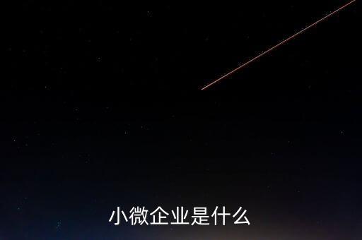 小微企業(yè)包括什么，小微企業(yè)是什么