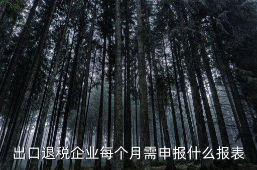 出口退稅每月需做什么申報，外貿(mào)企業(yè)第一次申報出口退稅需要準備哪些資料