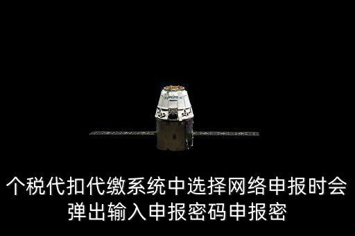 個稅申報密碼是什么意思，網(wǎng)上報稅 報稅密碼是什么
