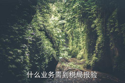 什么是稅務(wù)報驗，地稅發(fā)票報驗是什么回事啊 怎么報驗什么時候報驗啊