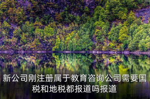教育咨詢(xún)納什么稅，請(qǐng)問(wèn)從教育事業(yè)的公司要納稅嗎