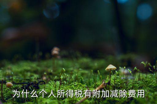 個(gè)稅減除費(fèi)用是什么，個(gè)人所得稅費(fèi)用扣除什么意思